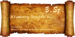 Blumberg Szolón névjegykártya